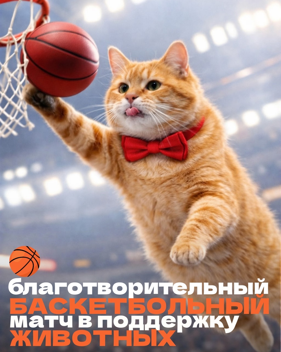 Кот Суворов