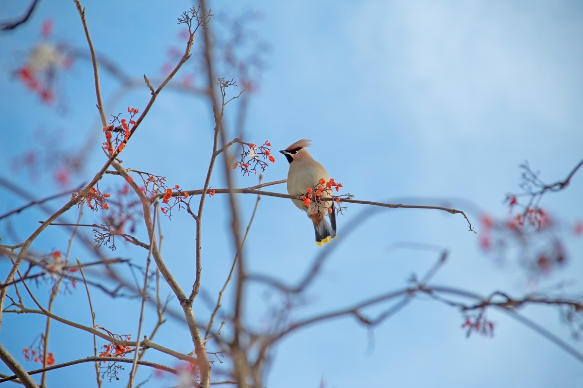     Ошо аҙна аҙағында уҡ "плюс"ҡа күтәрелә