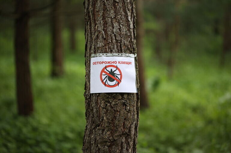   Тимур Ханов/«Парламентская газета»