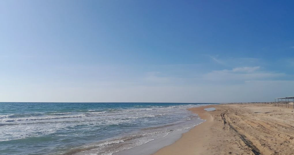 Динамика подготовки к сезону в Анапе видна по количеству размещённых вакансий. Откликайтесь и приезжайте жить и работать!