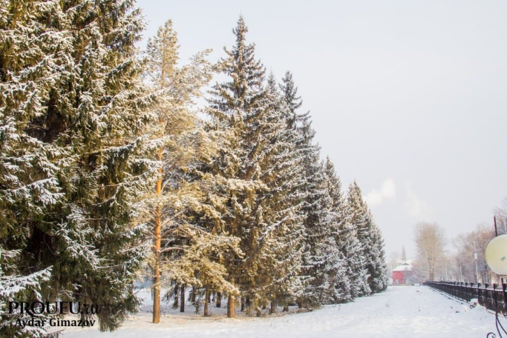    Фото Пруфы.рф