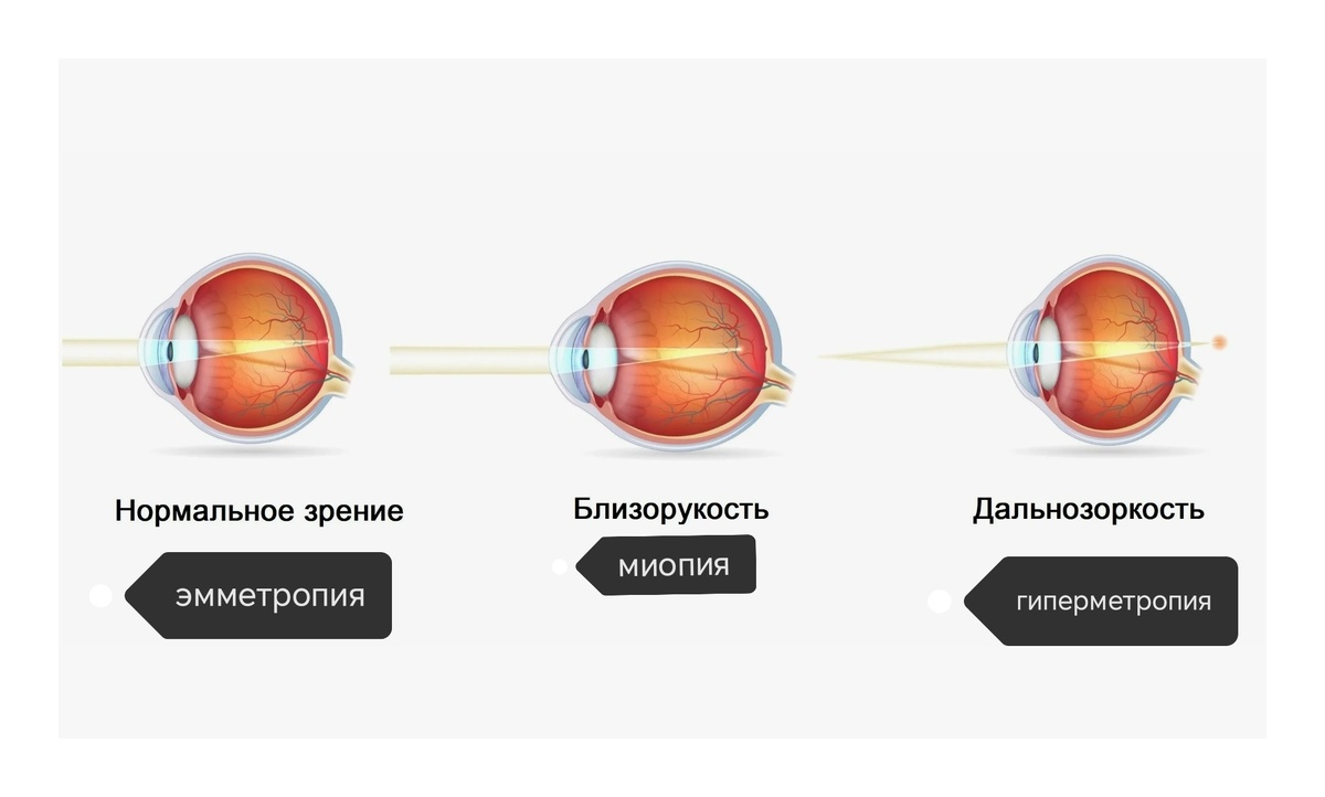Рисунок взят из открытых источников. Спасибо автору .