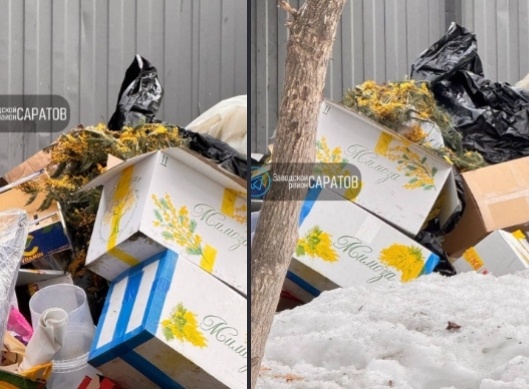 Фото мусорки из тг Саратов
