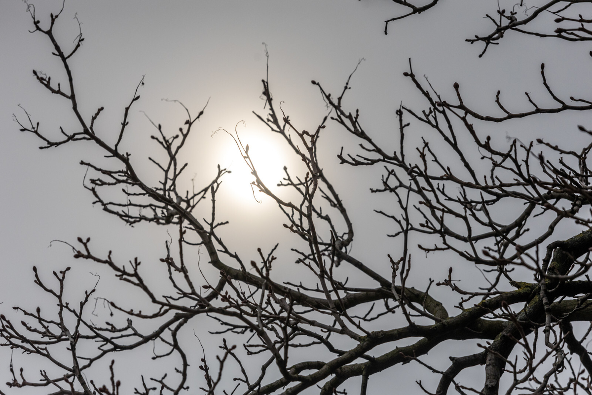 Фото: Олег Золото / «Вечерний Санкт-Петербург»