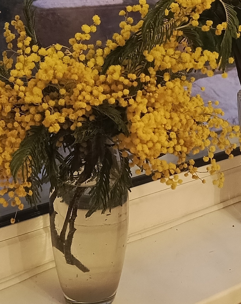 Фото автора  статьи