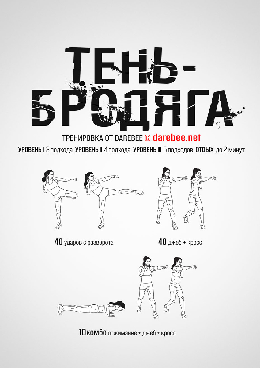 Shadow Stray Workout