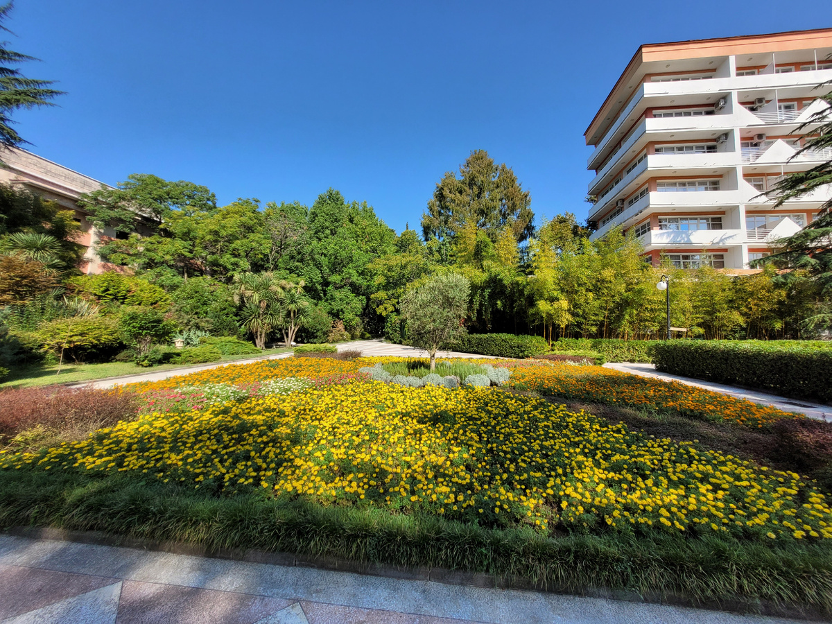 Санаторный формат — это не только отдых, но и продуманная медицинская часть программы