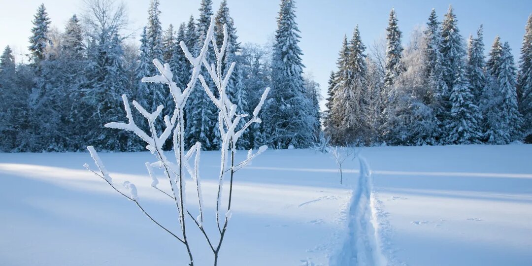 Главные новости Ижевска на 9 марта: похолодание до -31°С и бензовоз на трассе