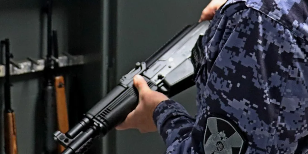 Оружие под контролем: как Росгвардия следит за арсеналом страны (и что нужно знать владельцу)