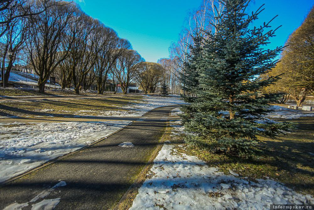 Фото: Елена Коноплёва