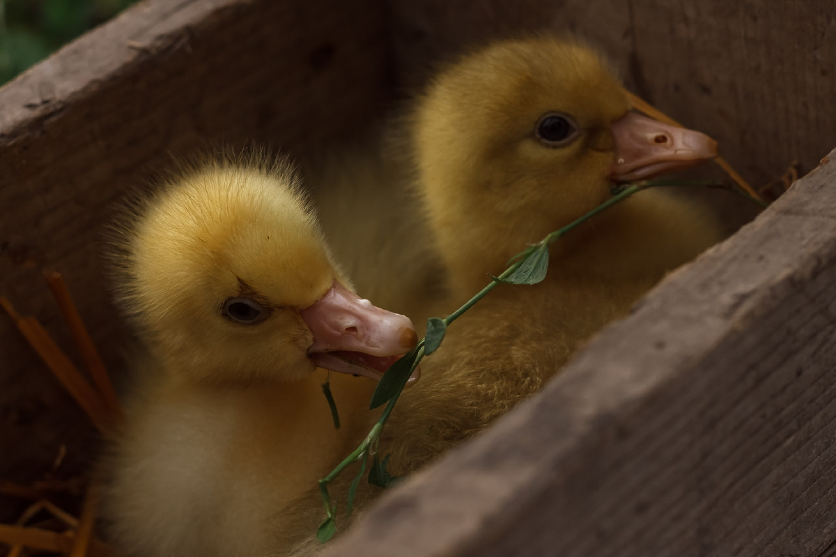 Моя работа😍