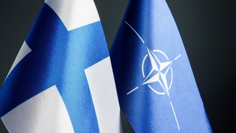    Автор фото: Vitalii Vodolazskyi/Shutterstock/FOTODOM