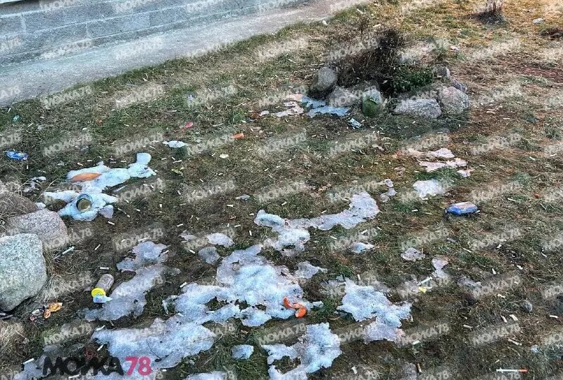 Читатели Мойки78 возмущены мусором на Новоколомяжском проспекте