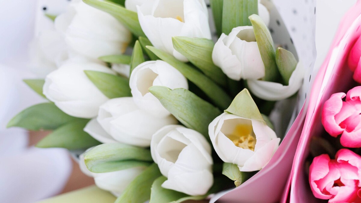    Фото: Юлия Чудинова / «Ямал-Медиа»