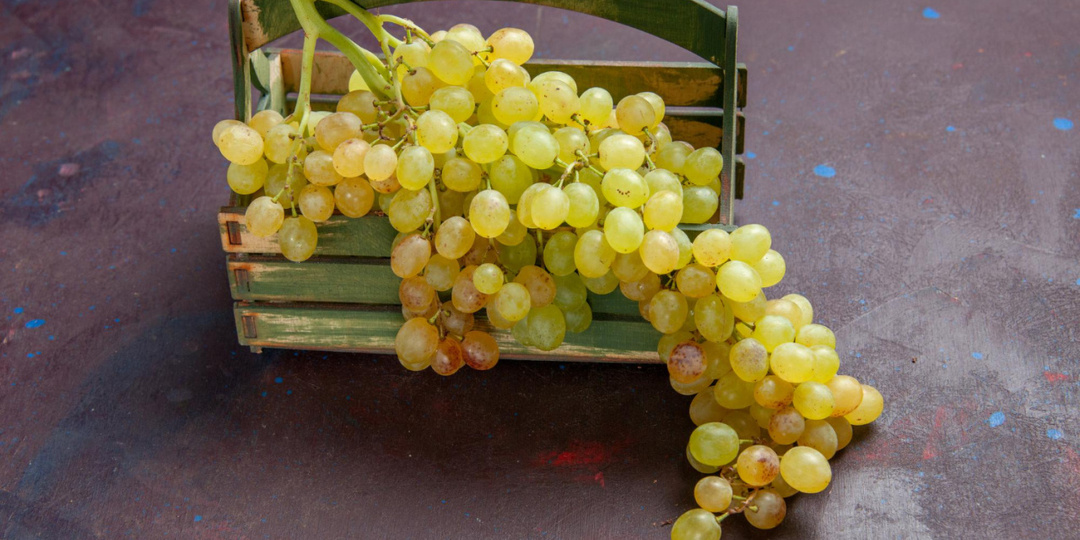 Альбариньо: солёный ветер Атлантики в бокале