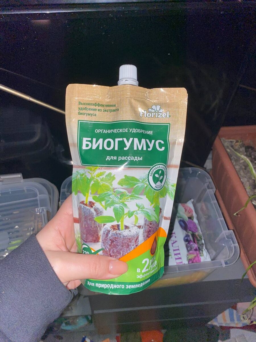 ФОТО АВТОРА КАНАЛА