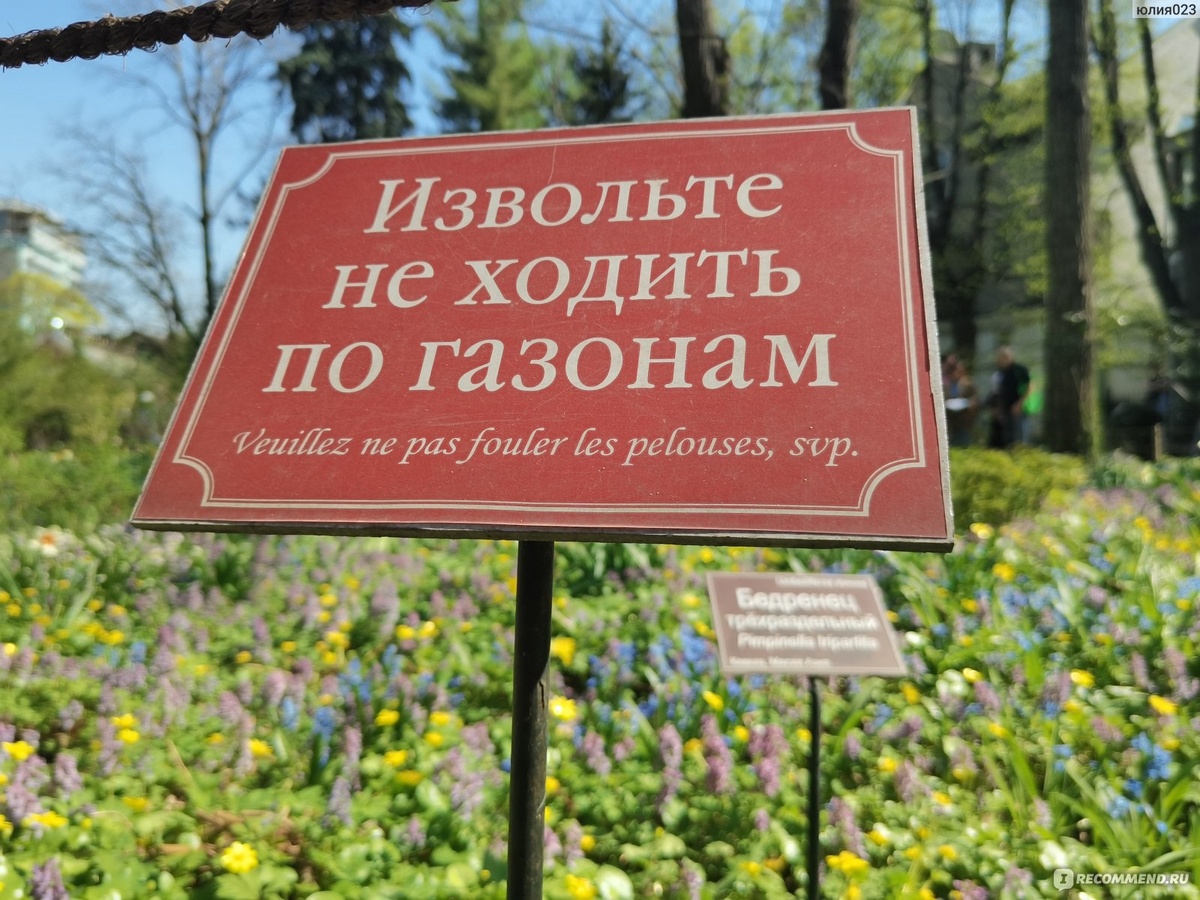 «Аптекарский огород» — старейший ботанический сад России, основанный Петром I в 1706 году как сад для выращивания лекарственных трав.