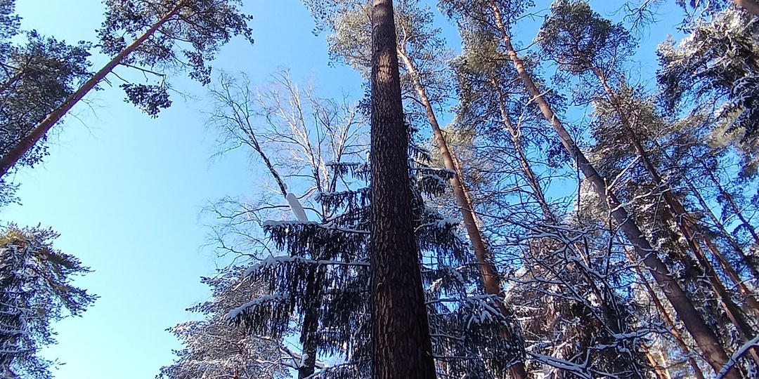 9 марта 2026 года. Понедельник. "Счастье есть", или Последний день путёвки выходного дня