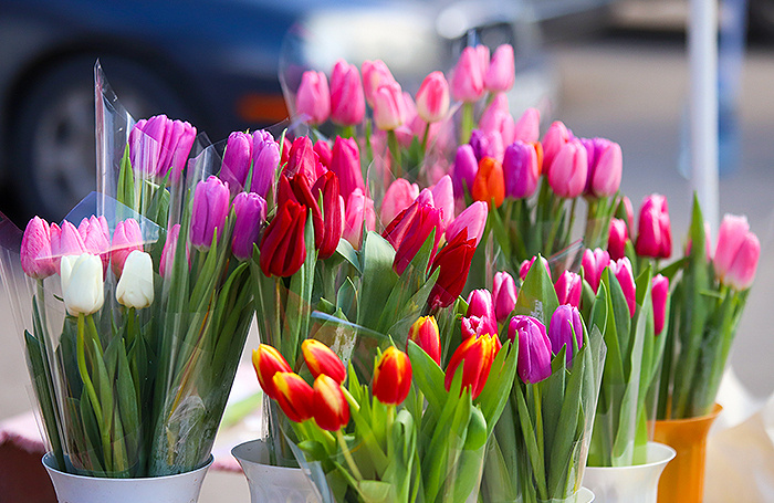    Данил Киселев/ТАСС