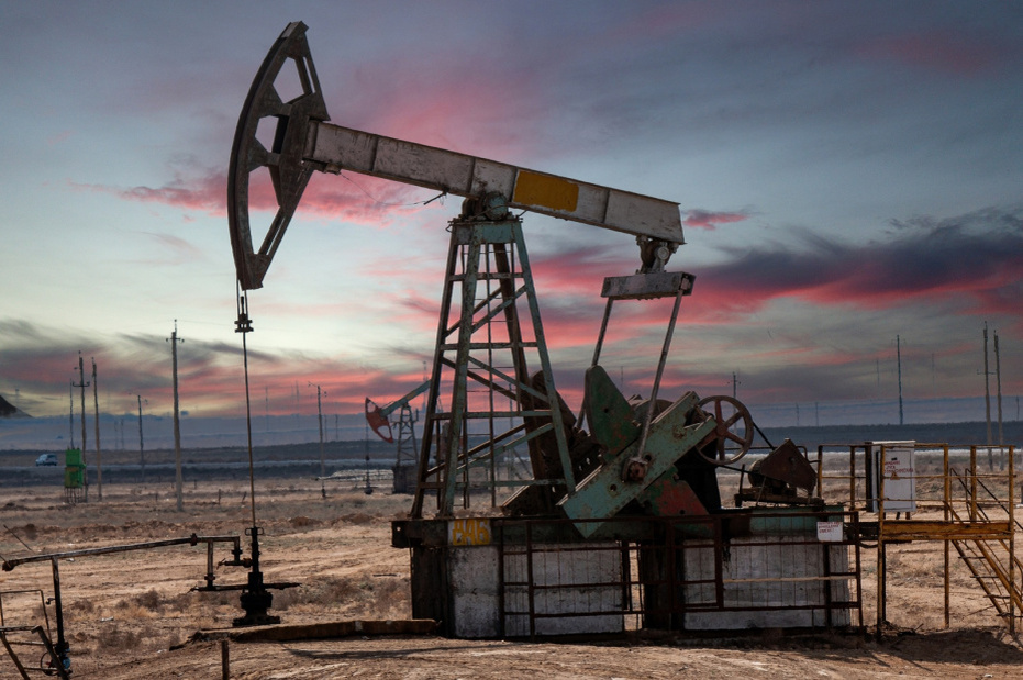    Наталья Шатохина/NEWS.ru