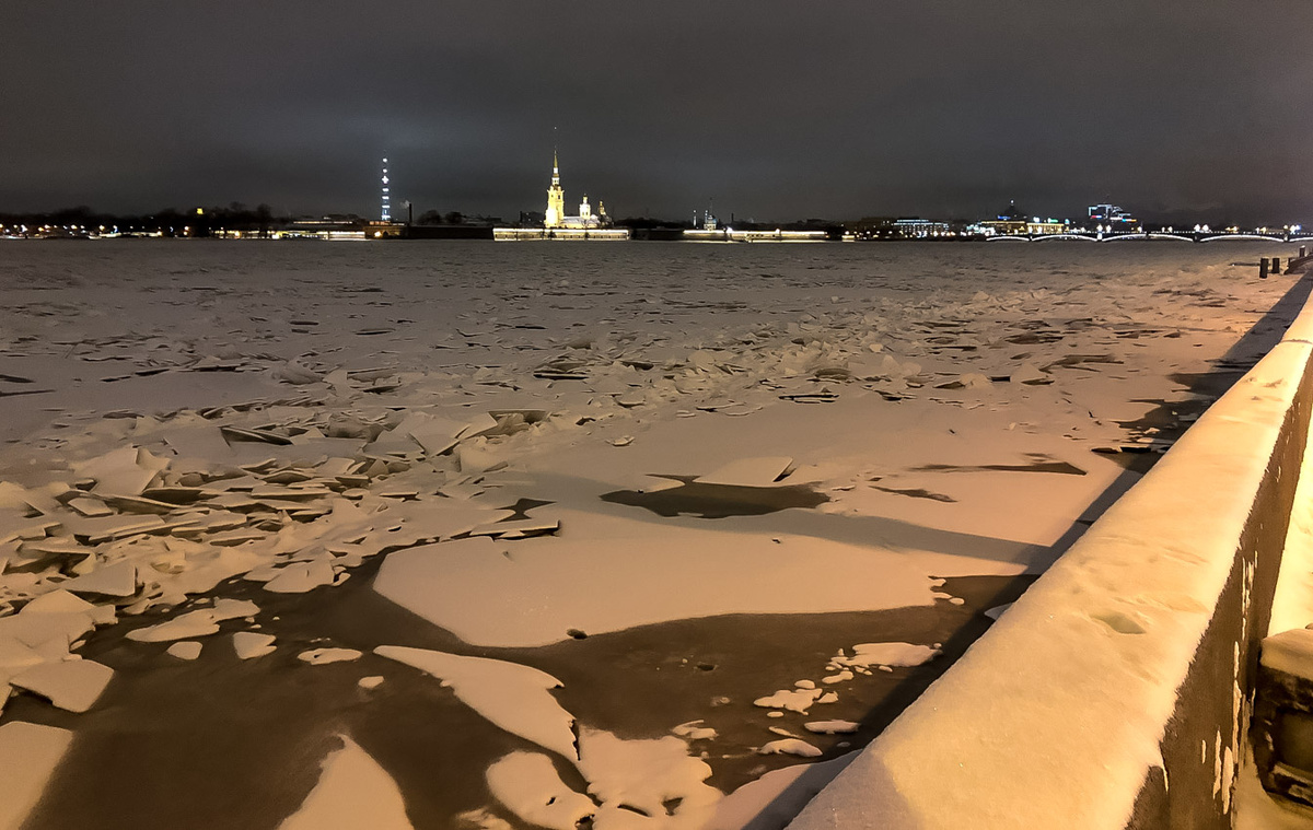 Под Петербургом впервые в 2026 году спасли нерпенка.  Фото: Анна Крючкова