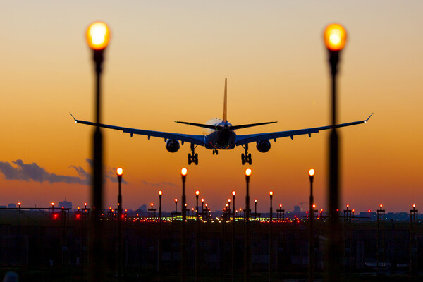 Guido Benedetto/Shutterstock/FOTODOM   📷