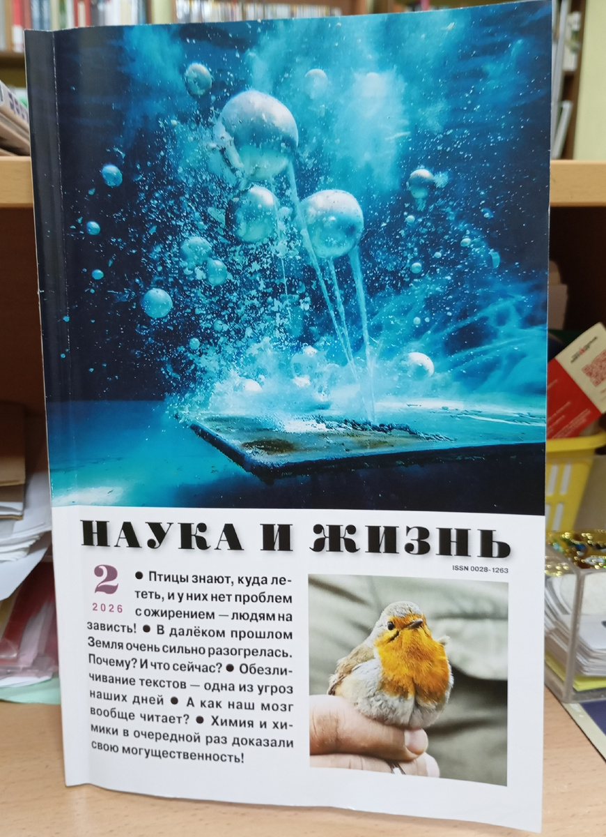 Фотография автора