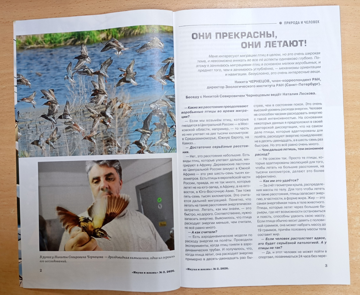 Фотография автора