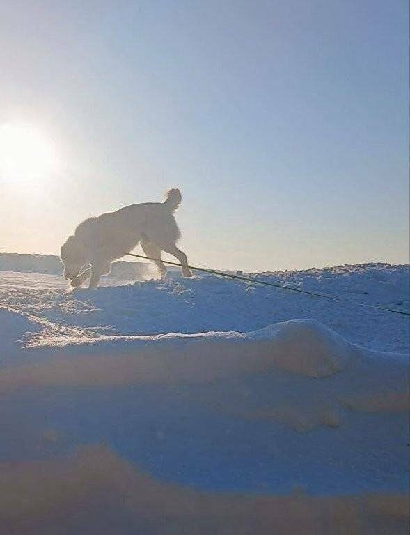 фото: t.me/rustamminnikhanov