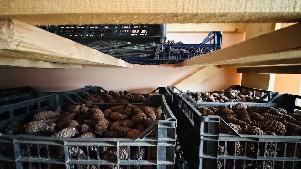    ФОТОЕ: Министерство природных ресурсов, экологии и рыболовства Херсонской области.