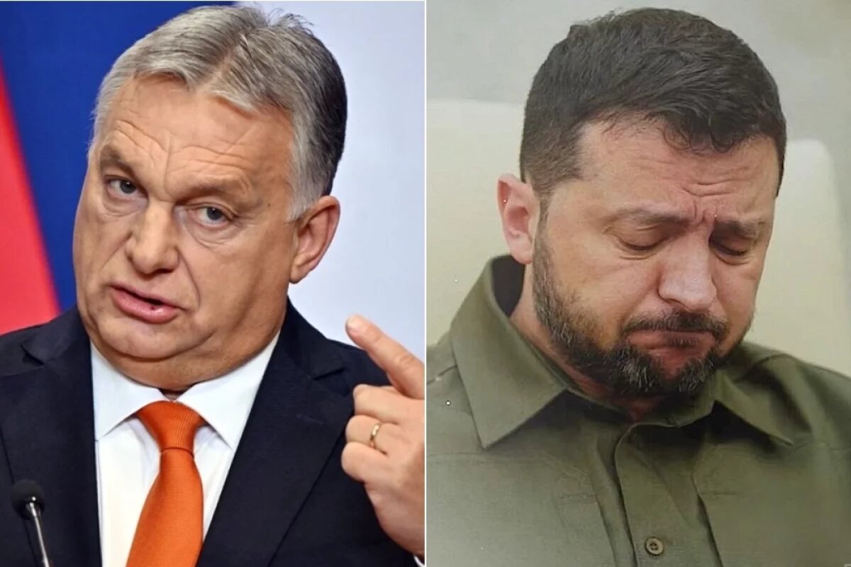    Туск и Йеттен призвали Зеленского снизить напряжение с Венгрией