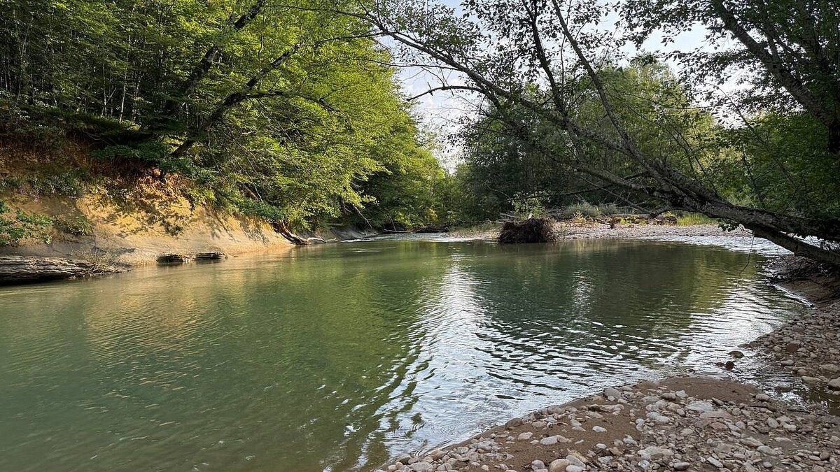    Фото: телеканал «Краснодар»