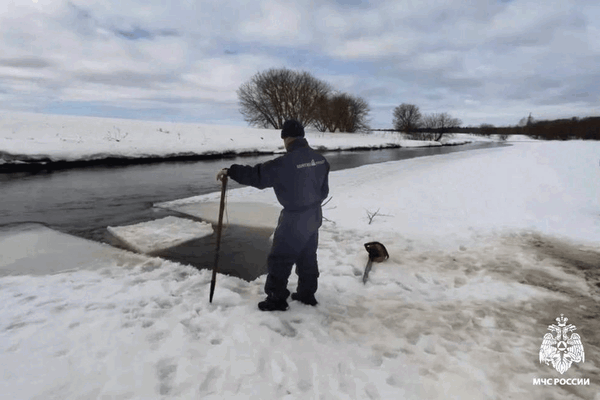 Телеграм-канал «МЧС Московской области»МЧС Московской области/   📷