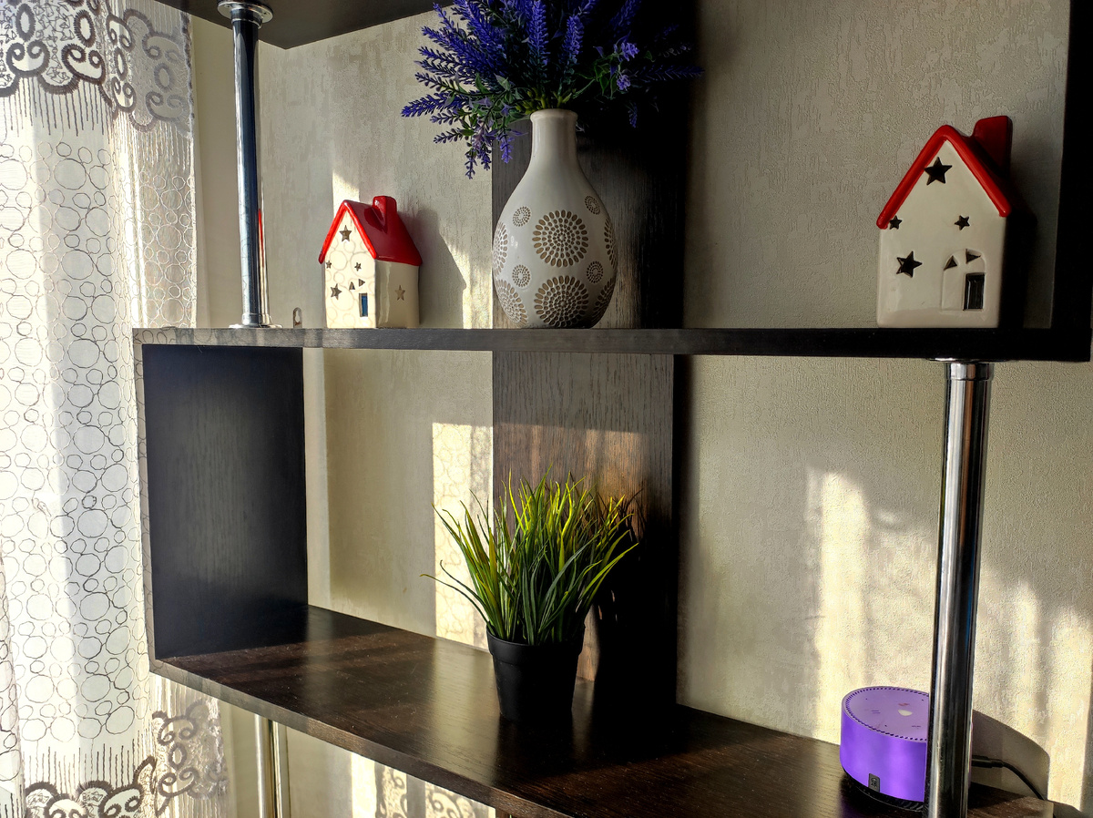 Фото автора. Моё утро...