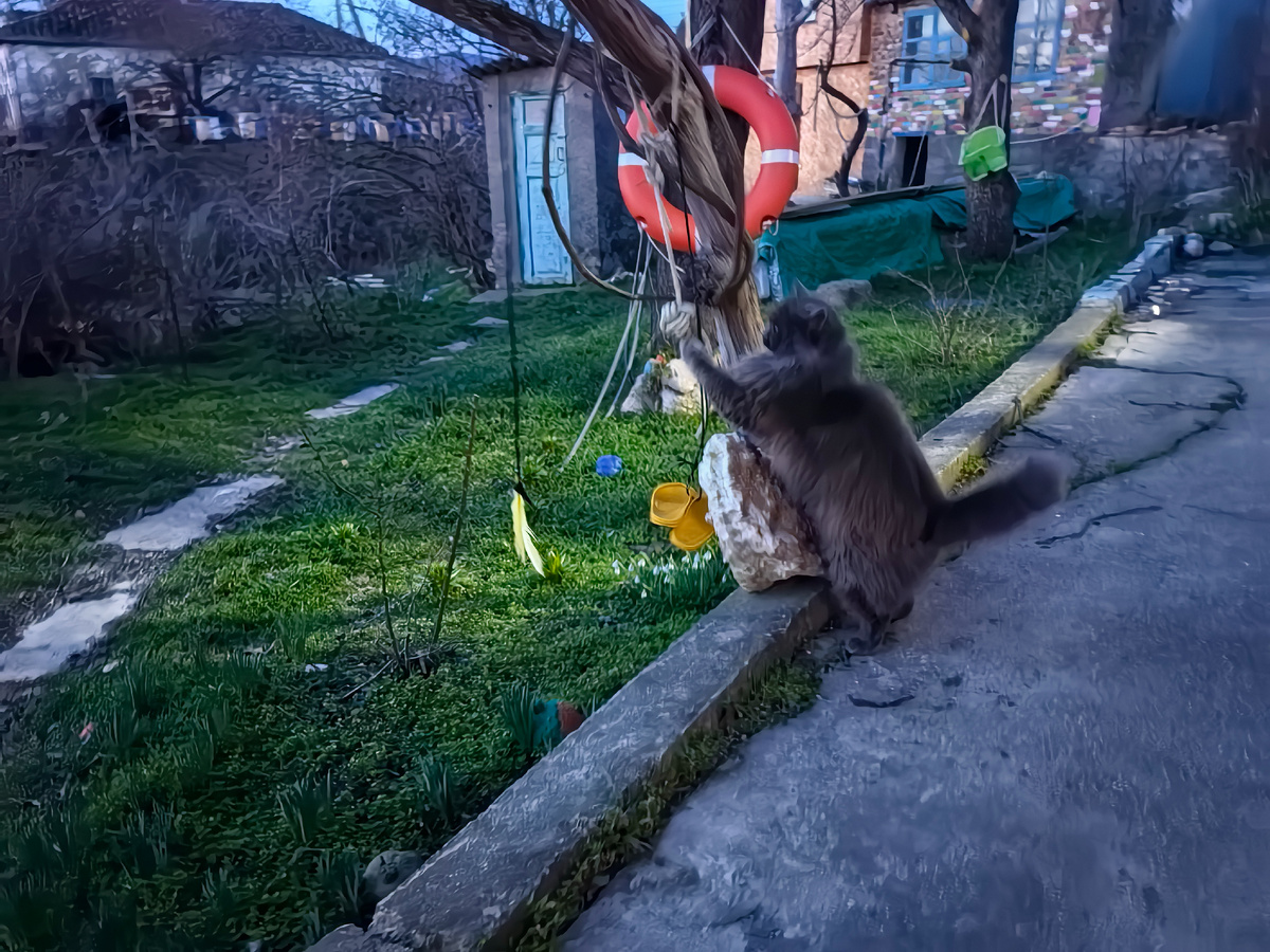 Это зачем ты здесь понавесил? Для меня что ли?