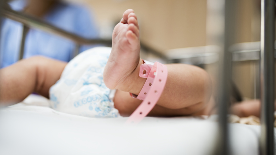    Фото: freepic.com.