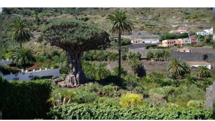 Фото из открытых источников интернета. 