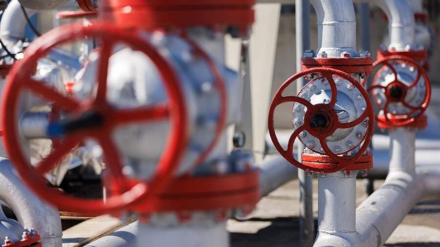    Фото: Global Look Press/Sergey Elagin