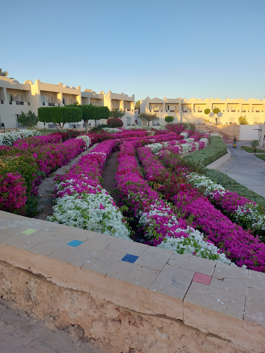 Касскад цветов (листайте вправо)