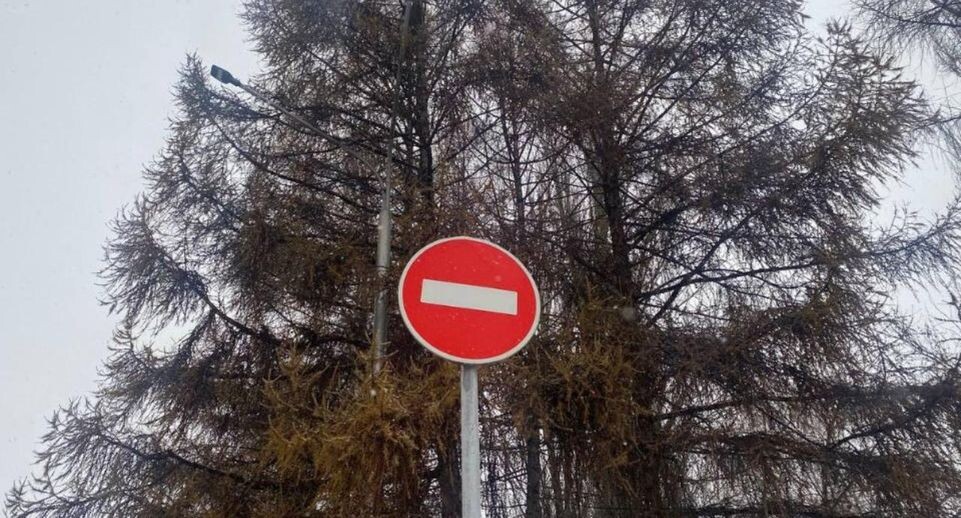    REGIONS/Мария Толстикова