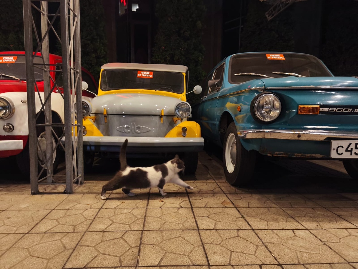 Фото: Александр Панов.