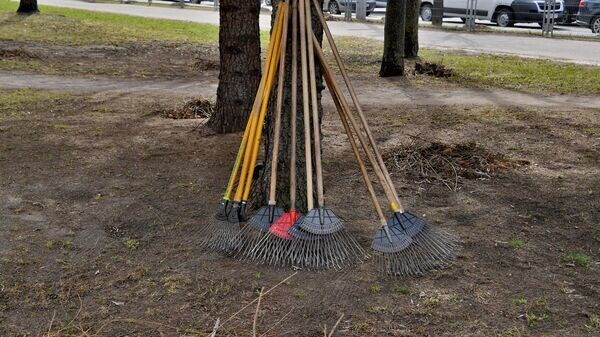    © Sputnik / Виктор Толочко