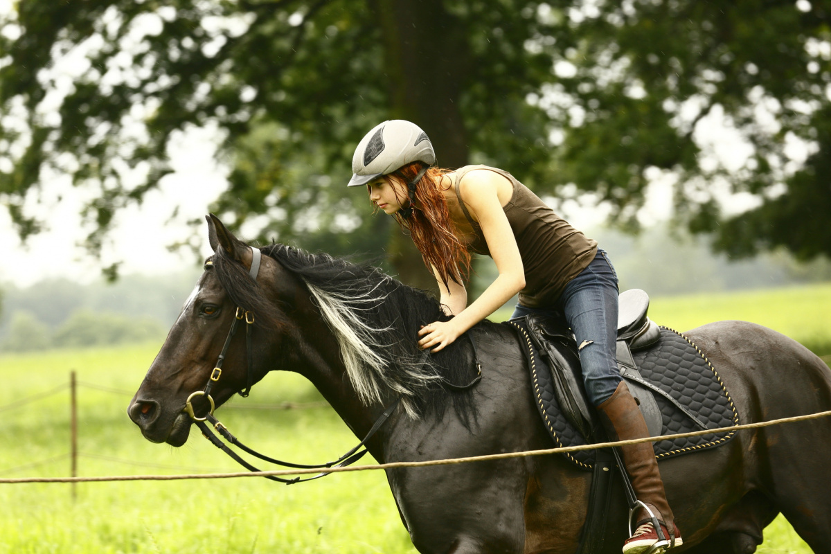 Кадр из фильма Восточный ветер
