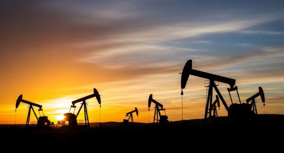    Андрей Бакусов / Фотобанк Лори