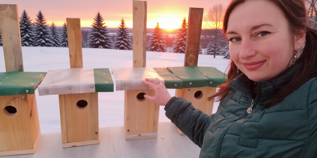 Отличные новости: мы построили четыре уютных дома!