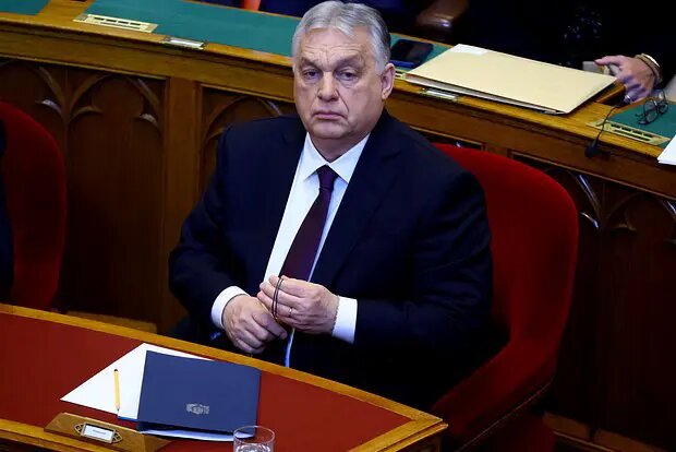    Источник: lenta.ru/ Полина Степанова