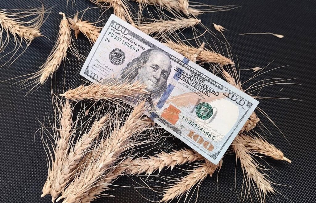 Фото иллюстрированное, ИА «Караван Инфо»