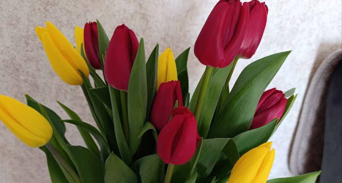    Фото: ПроГород