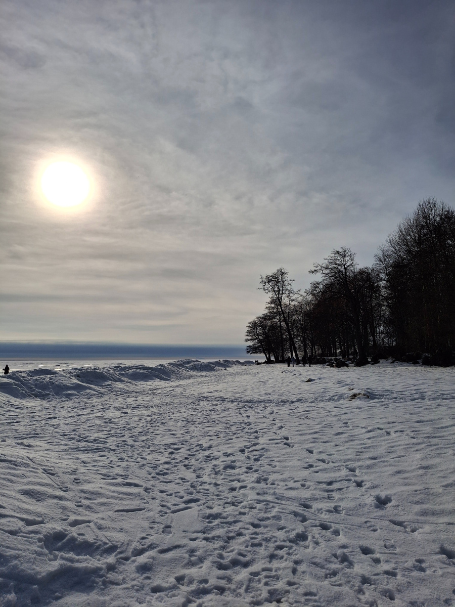 Фото автора. На Финском заливе в Репино.