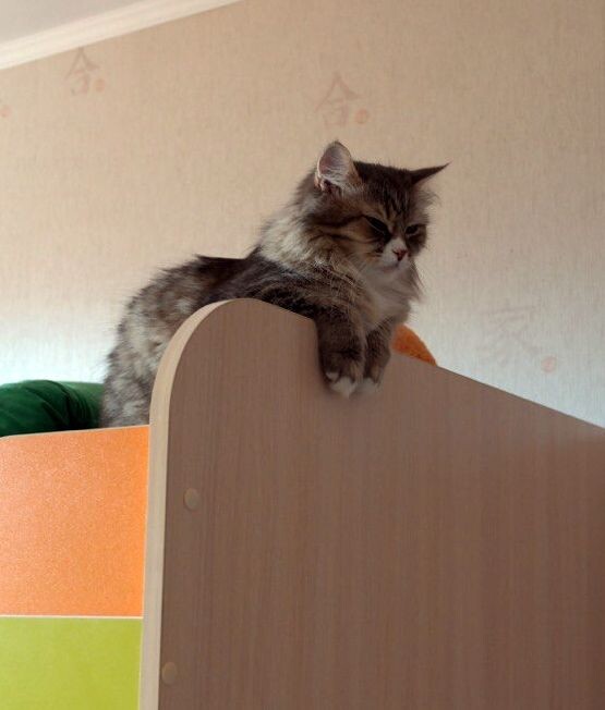 И будет смотреть вот так сверху вниз